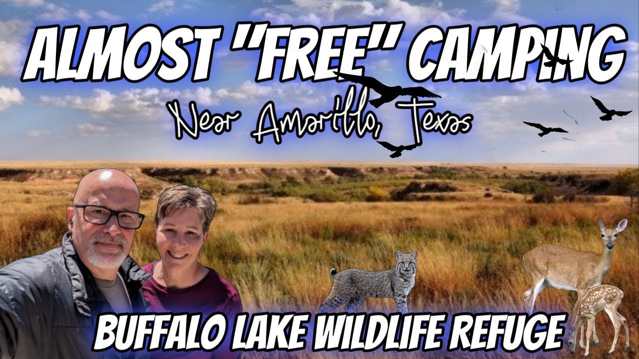 Free Camping (well almost free) Outside Amarillo Texas- Buffalo Lake Wildlife Refuge
