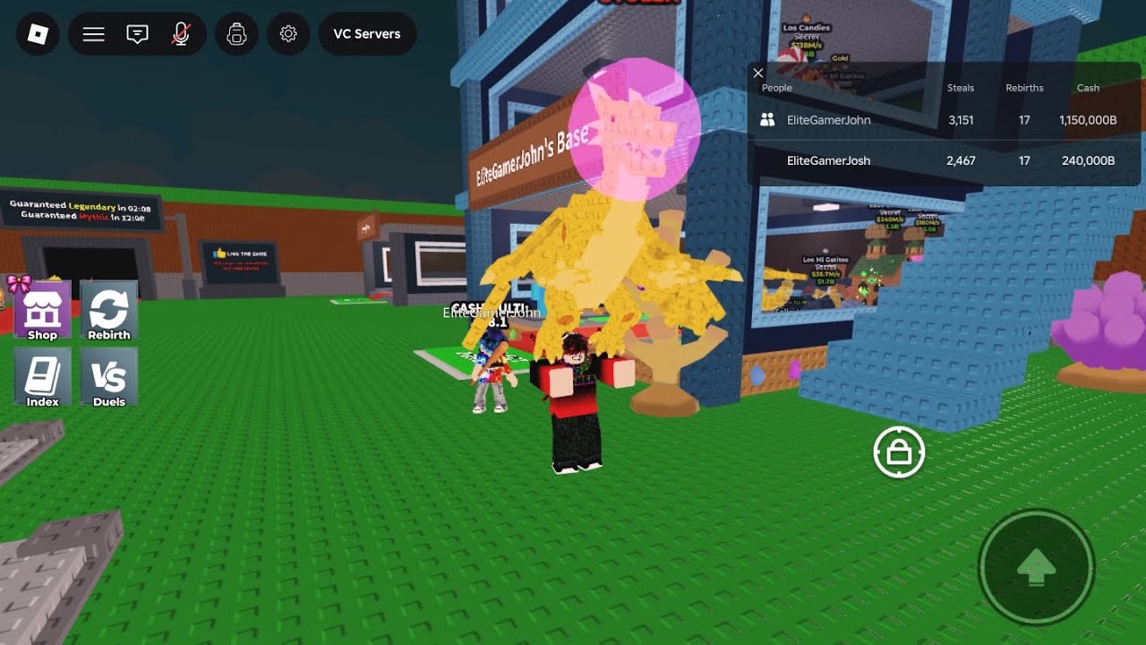 dueling my brother for a dragon vs a noobini 