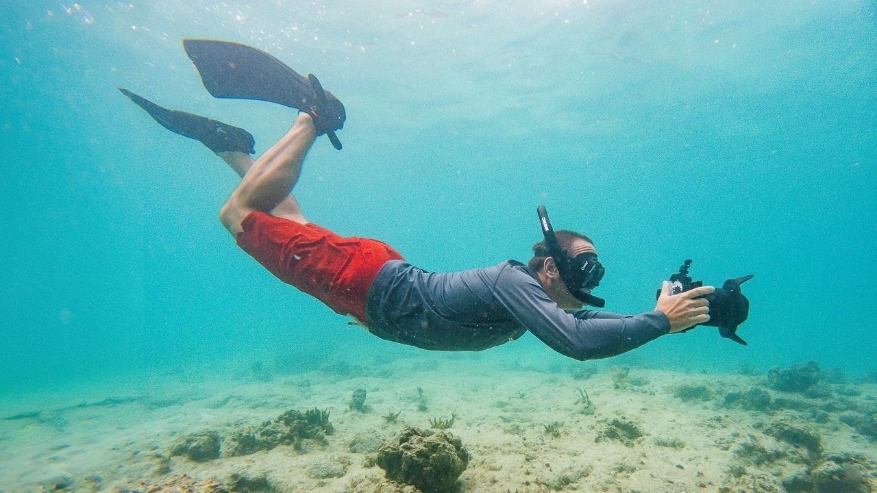 Как делать качественные подводные фотографии (тест Seafrogs)