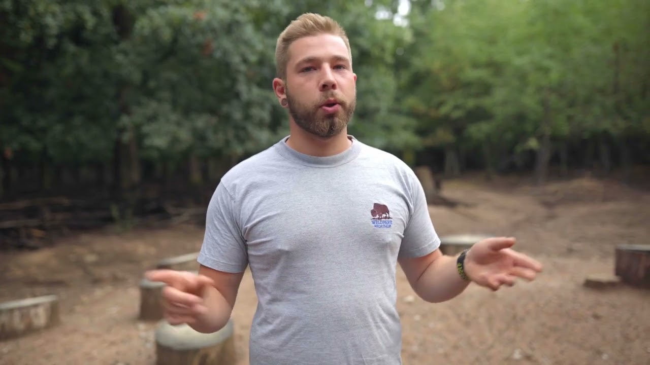 Der Wildpark in Pforzheim | Städte des Südens | Pforzheim