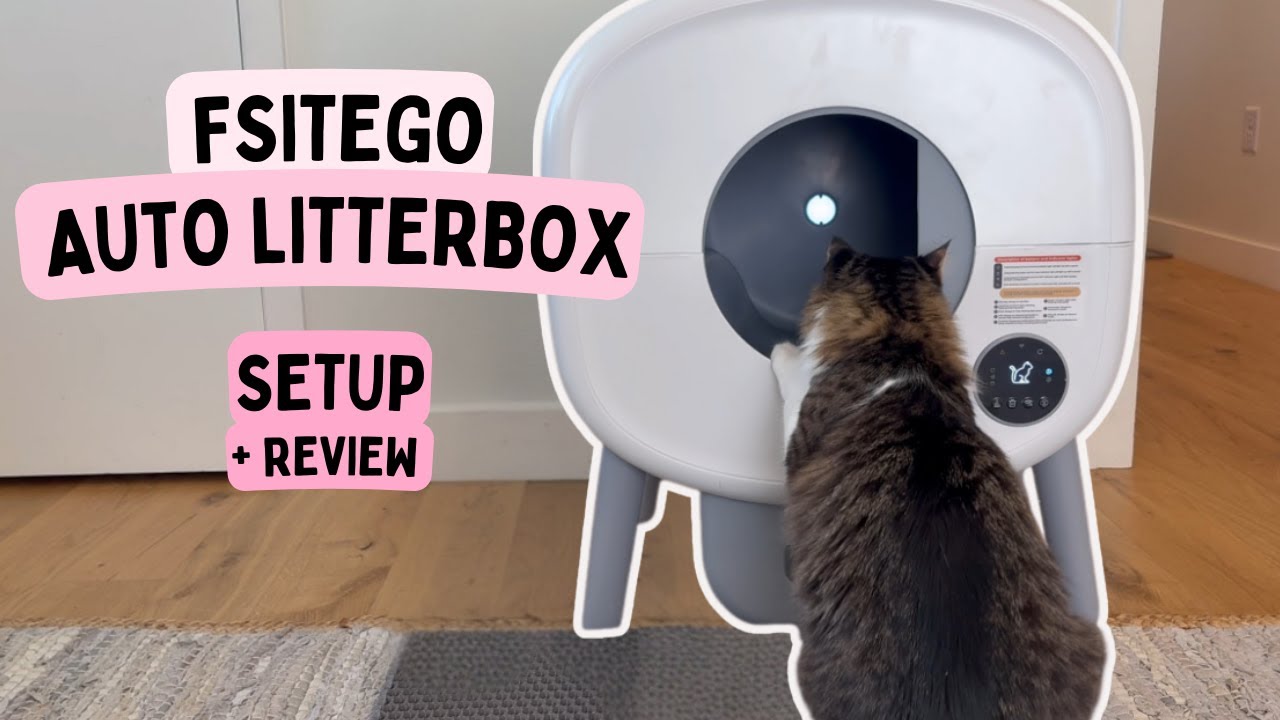 Мой кот попробовал автоматический туалет FSITEGO / MeowWhimsy / TAYACICY — вот что вам НУЖНО знать!