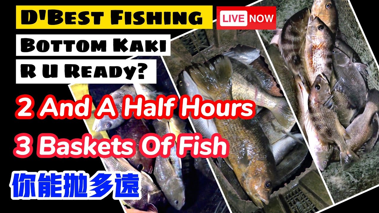 EP28你能抛多远？钓点无藏私，70米的卷取感，还得过两关拔鱼！Singapore D'best Fishing, Main Pond.