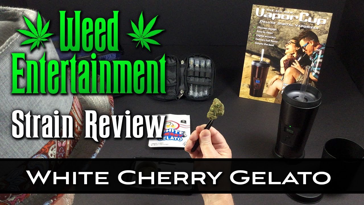 White Cherry Gelato - Indica Hybrid - by Backpack Boyz - Strain Review -  Dr Greenthumbs, Sylmar, Ca