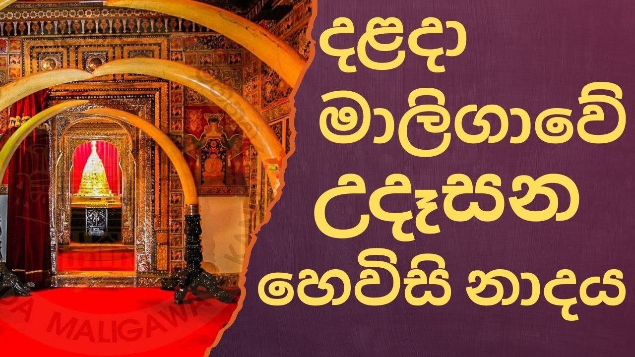 අපූරු බෙර නාදයෙන් පිරුණු දළදා තේවා මොහොත / Sri Lankan Temple Drums – Dalada Maligawa Specia