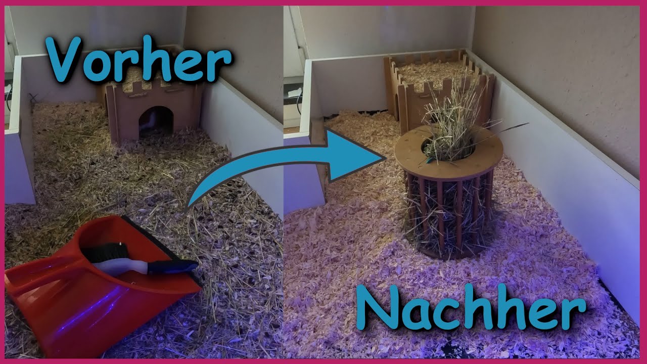 Putztag in Schweinehausen 🧹 Meine Putzroutine am Wochenende