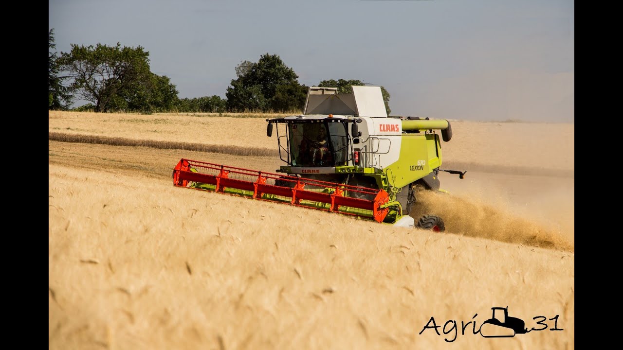 Moisson 2015 avec une Claas Lexion 670 MONTANA