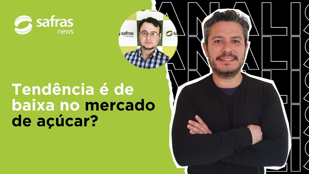 Avaliamos as tendências do mercado de açúcar no Brasil e globalmente - Conversa com o Analista