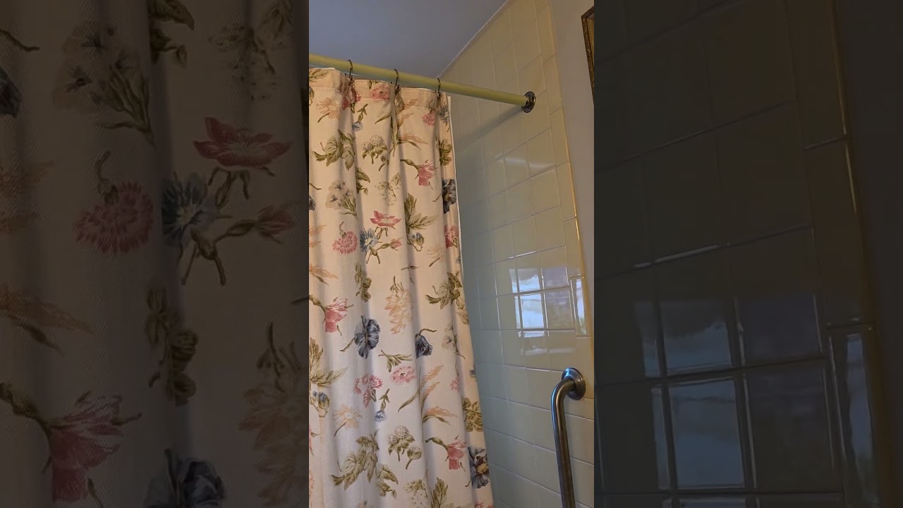 I commissioned a painting for myself to fix the Feng Shui area of my bathroom. Learn why...
