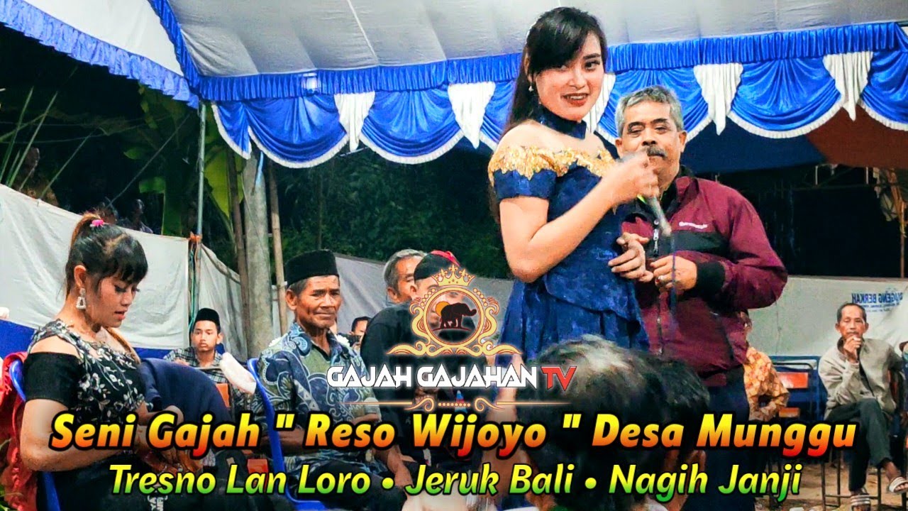 🔴 TRESNO LAN LORO • JERUK BALI • NAGIH JANJI ❗ Seni Gajah Reso Wijoyo Desa Munggu 2021