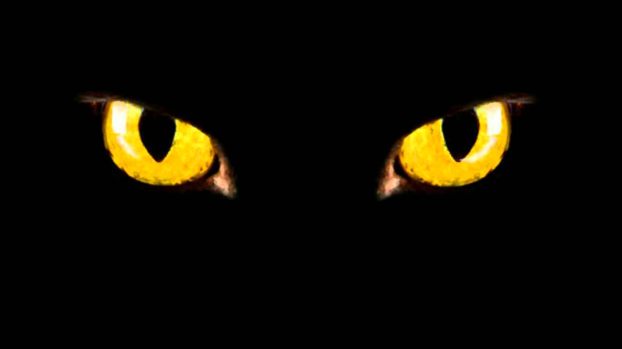 I Gatti di Ulthar - H. P. Lovecraft