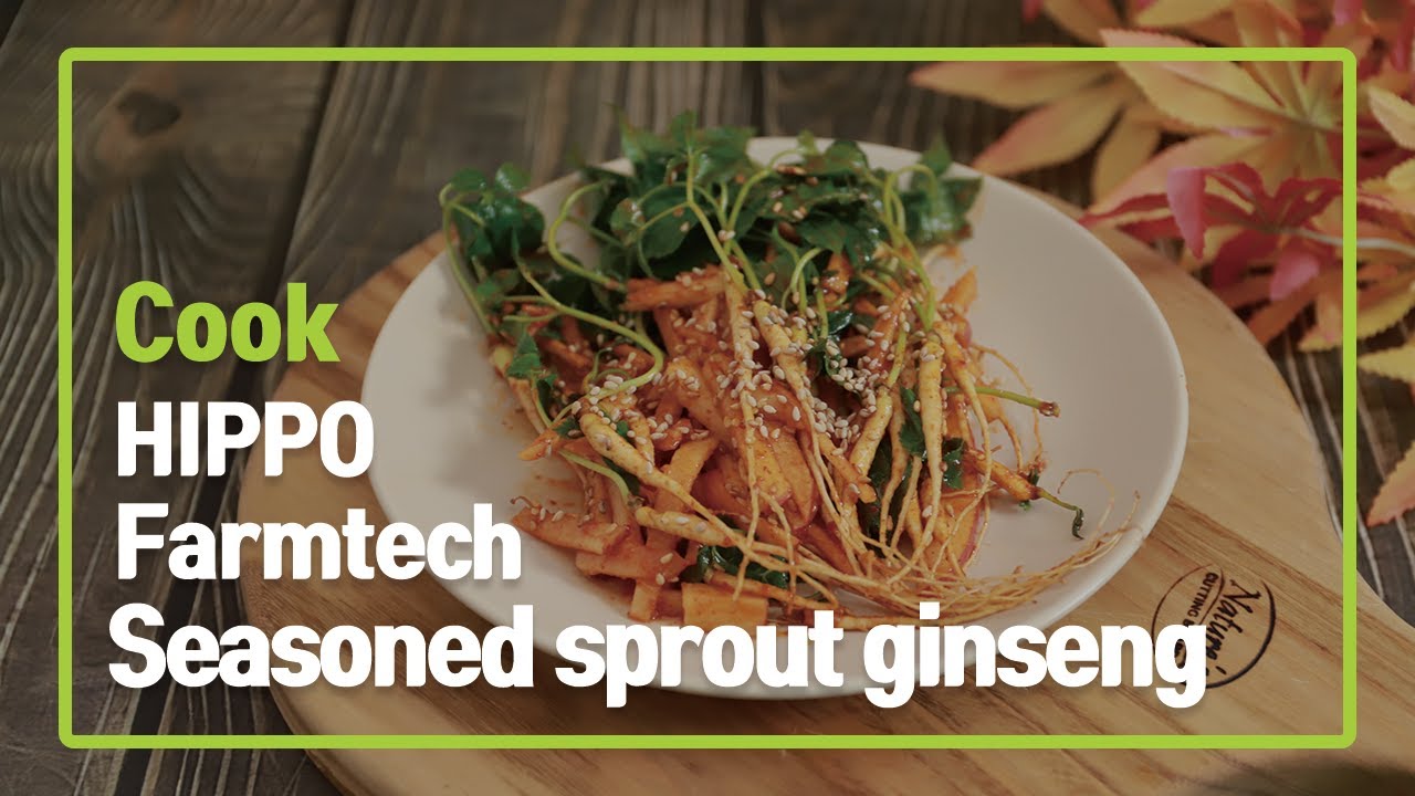 Seasoned sprout ginseng Farmtech Cook | HIPPO Farmtech