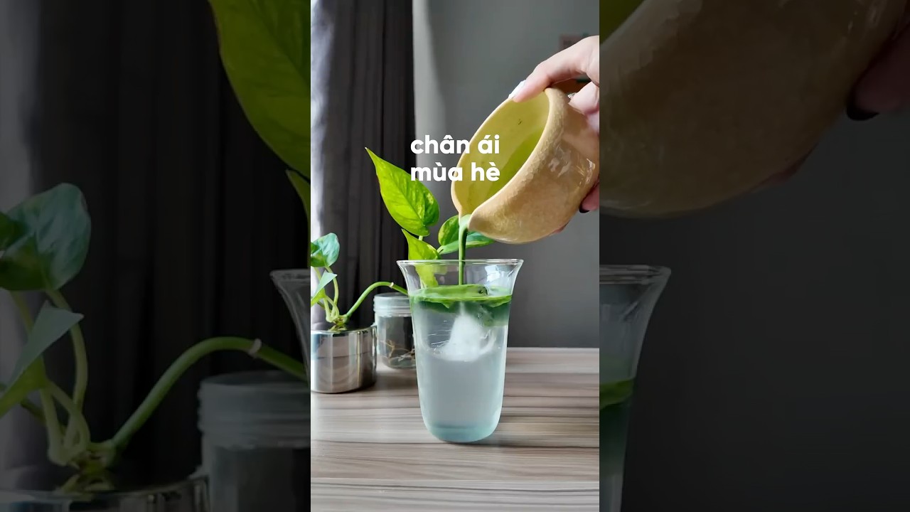c&ocirc;ng thức matcha ch&acirc;n &aacute;i m&ugrave;a h&egrave;