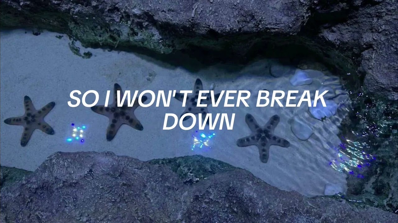 love you anyway - the marías (lyrics)
