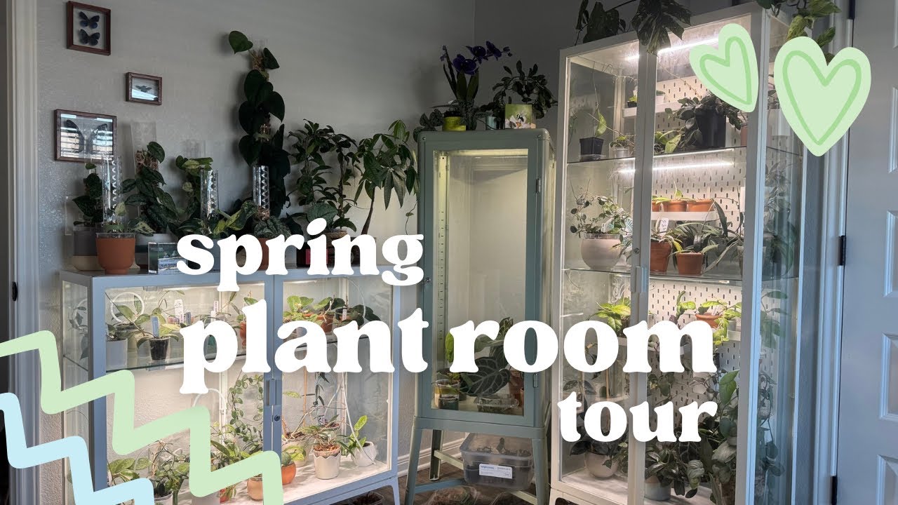 Spring Plant Room Tour 🌱✨ | 3 Cabinets, 100+ Plants, & a Few Kitties 🐱
