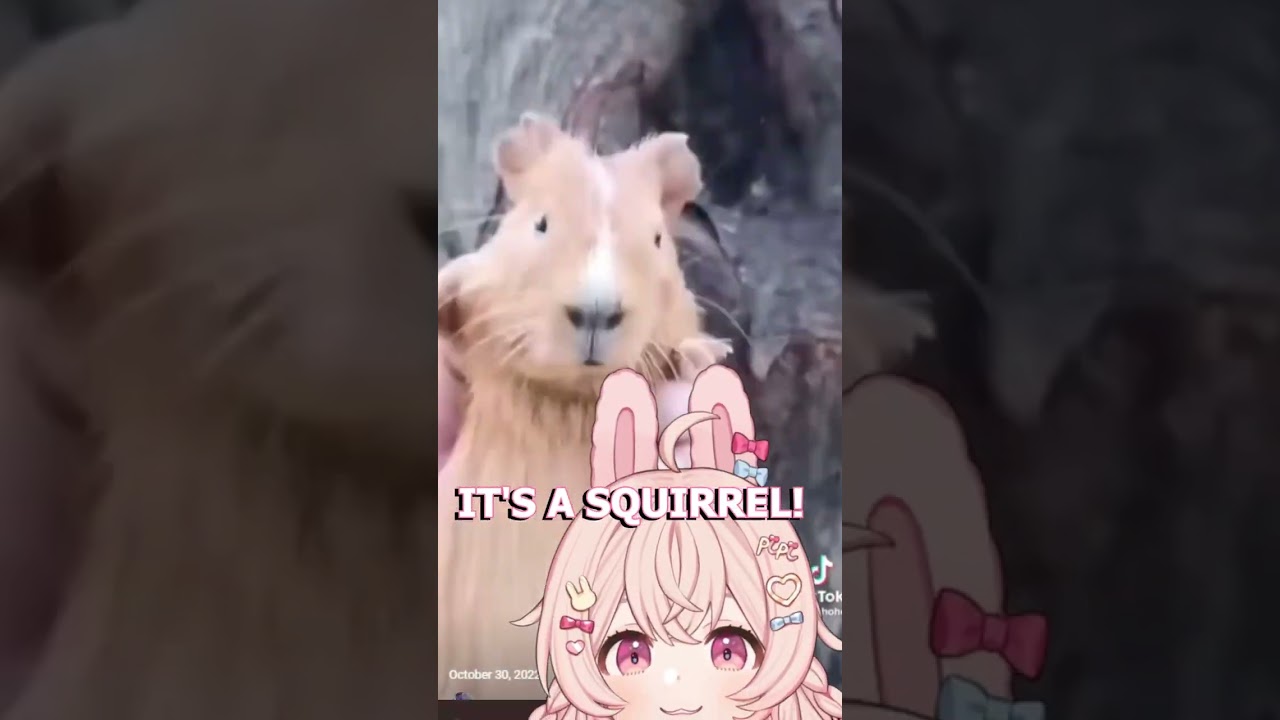 What is it?! 