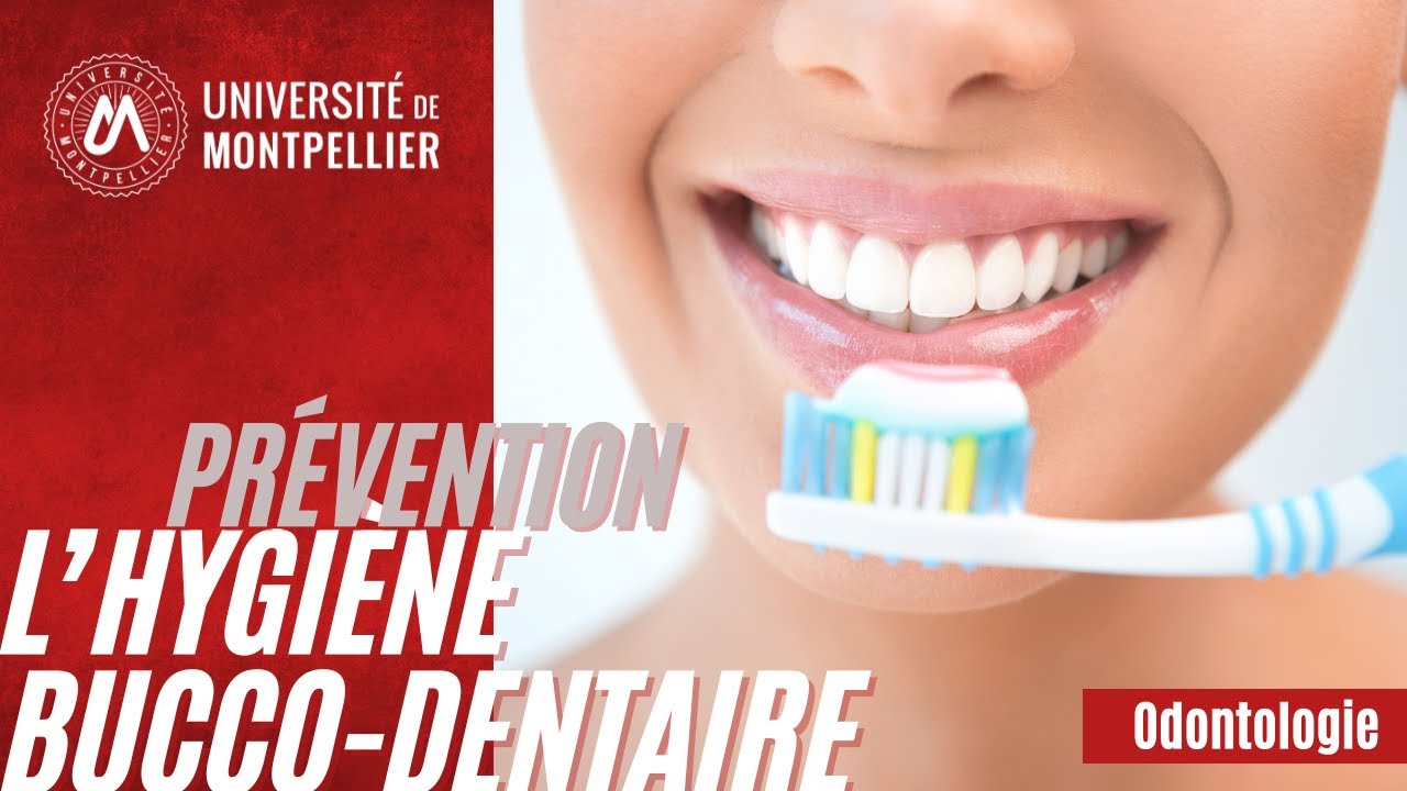 Prévention / L'hygiène bucco dentaire