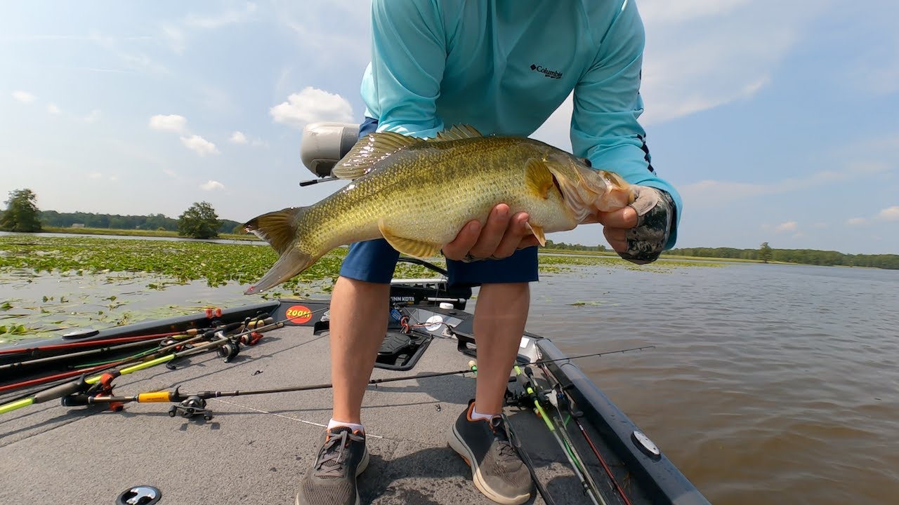 Bass Fishing James River Tributaries aka  the 