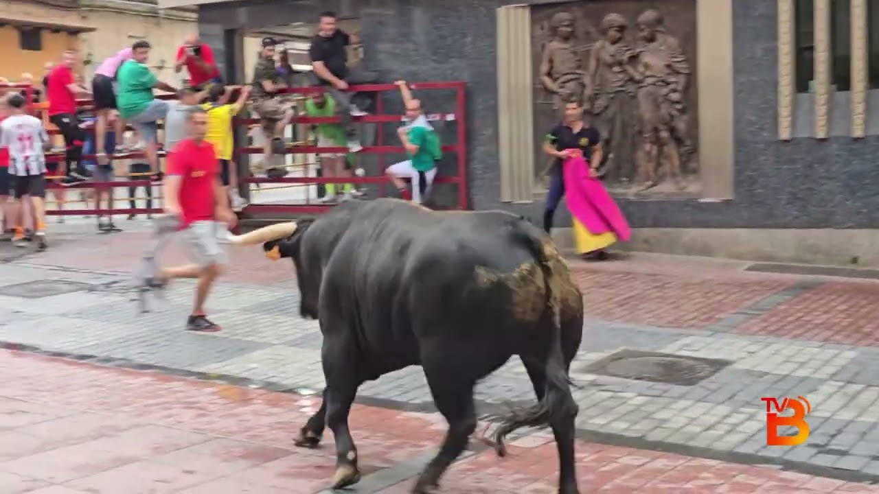 Toros de Cajón de los Condes Duques Benvente