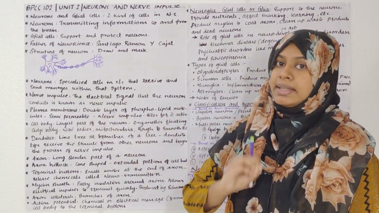 BPCC 102 | BIOPSYCHOLOGY | UNIT 2 | NEURONS AND NERVE IMPULSE | BAPCH IGNOU CLASS MALAYALAM | EDGE