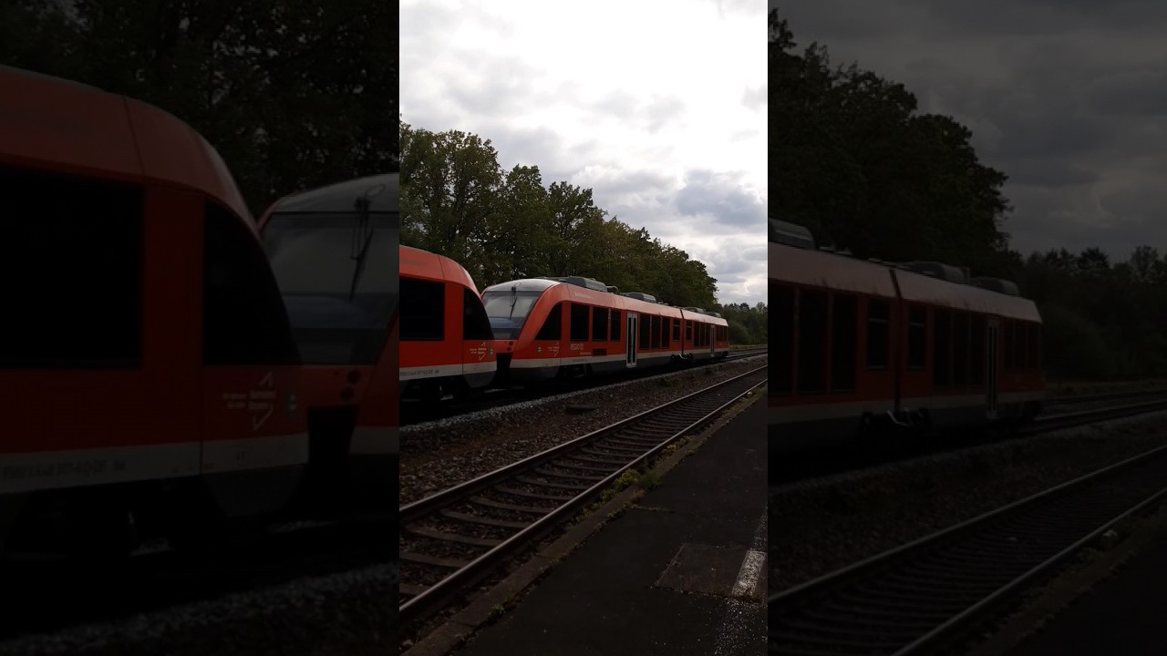 Durchfahrt eines Coradia LINT BR 648 in Doppeltraktion