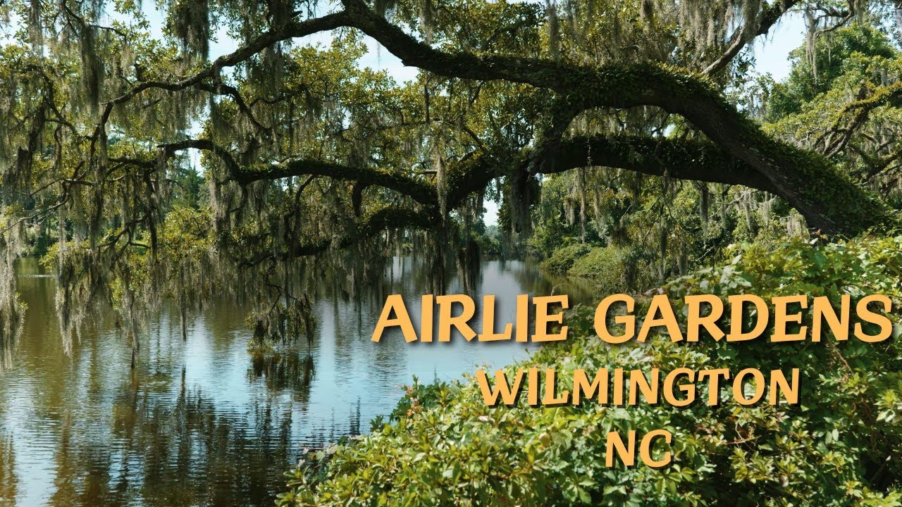 Airlie Gardens in Summer - Wilmington, NC