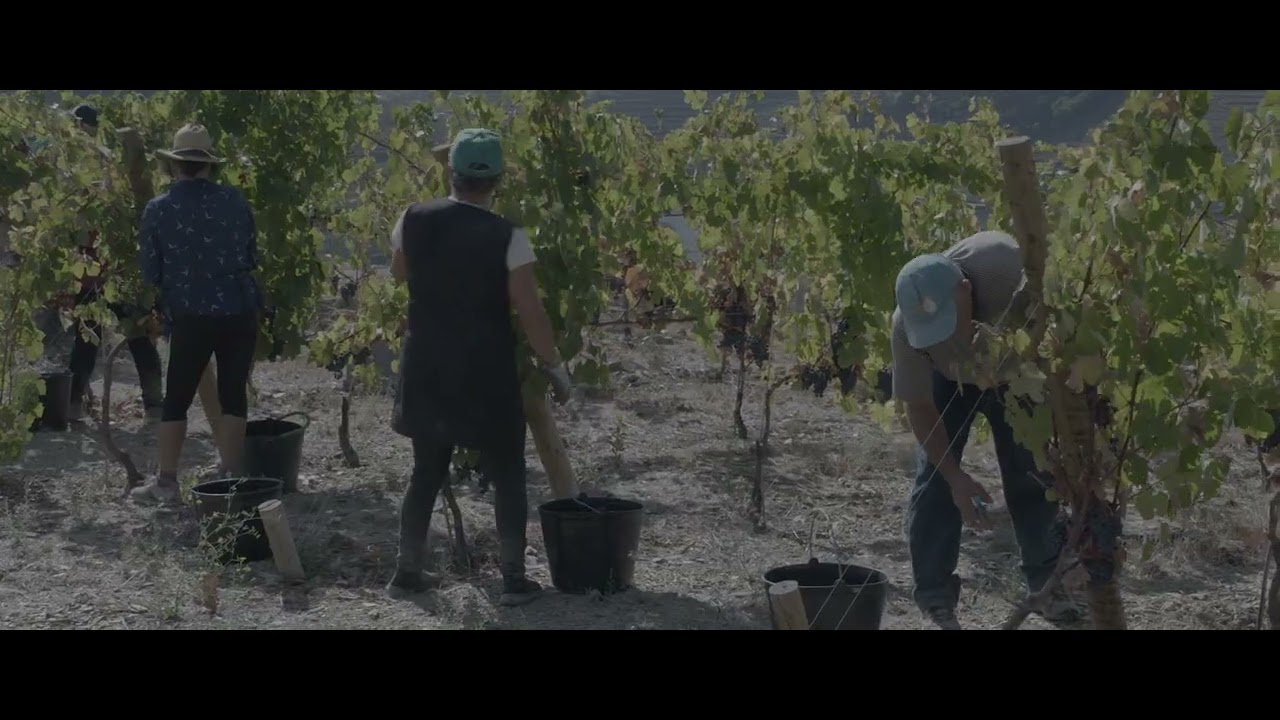 Quinta do Bomfim Vintage Port