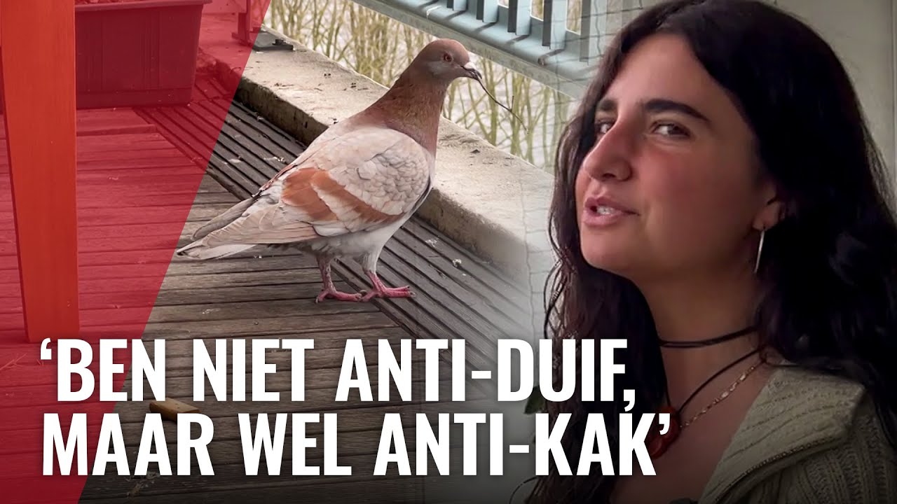 Zo voorkom je duiven op je balkon