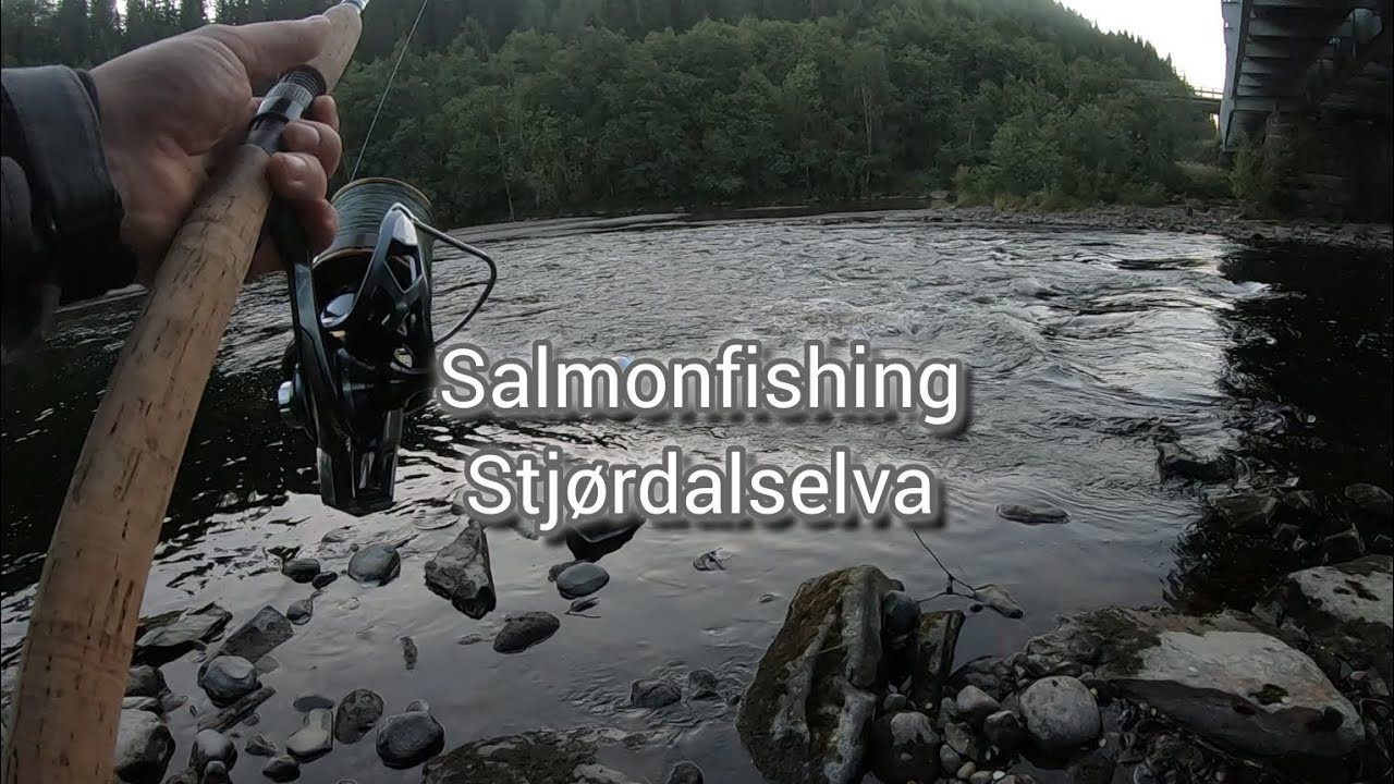 Salmon fishing Stjørdalselva 2024