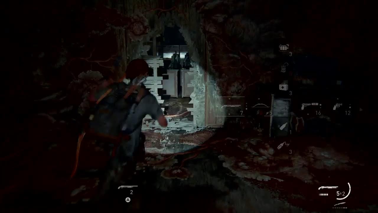 Last of us 2