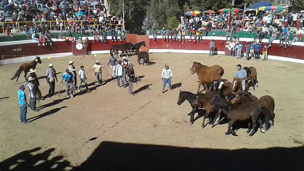 Doma de potros - Antabamba 2016  Aniversario de Antabamba