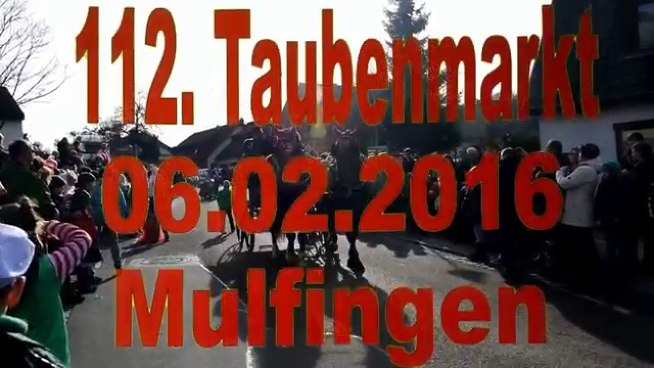 Festzug beim Mulfinger Taubenmarkt 2016
