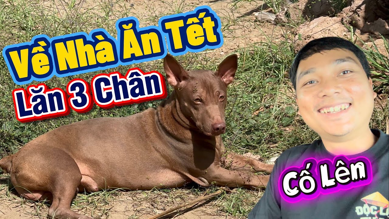 Tạm Biệt Thành Phố Ly Lăn Được Về Nhà Ăn Tết Cùng Anh Sen