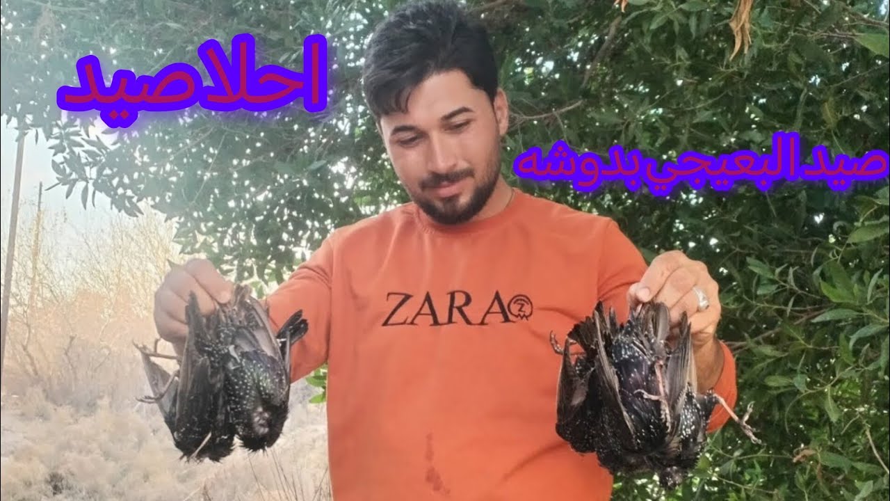 اقوه دوشه الصيد الطيور المهاجره واحلا كبسه 20 طير لايك واشتراك 