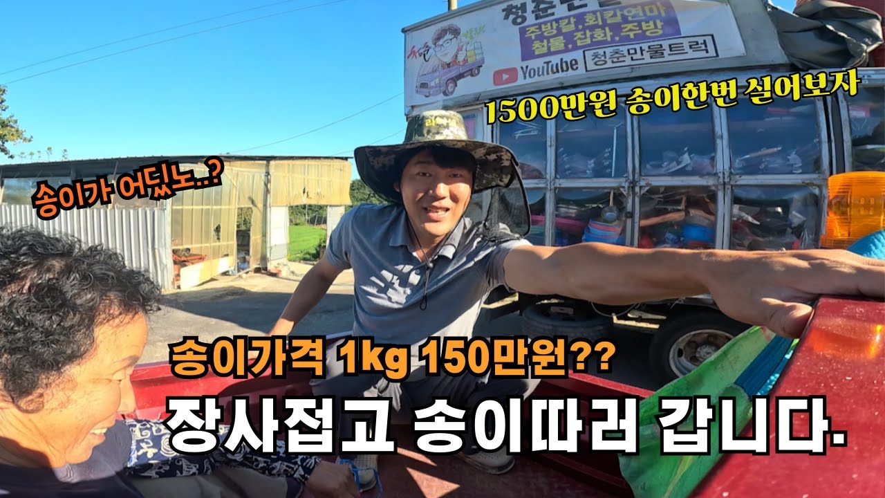 쿠팡도 안오는 오지마을 은혜 갚는 까치가 다시 찾아갑니다. 가을 송이 먹으러 오라는데 과연..?