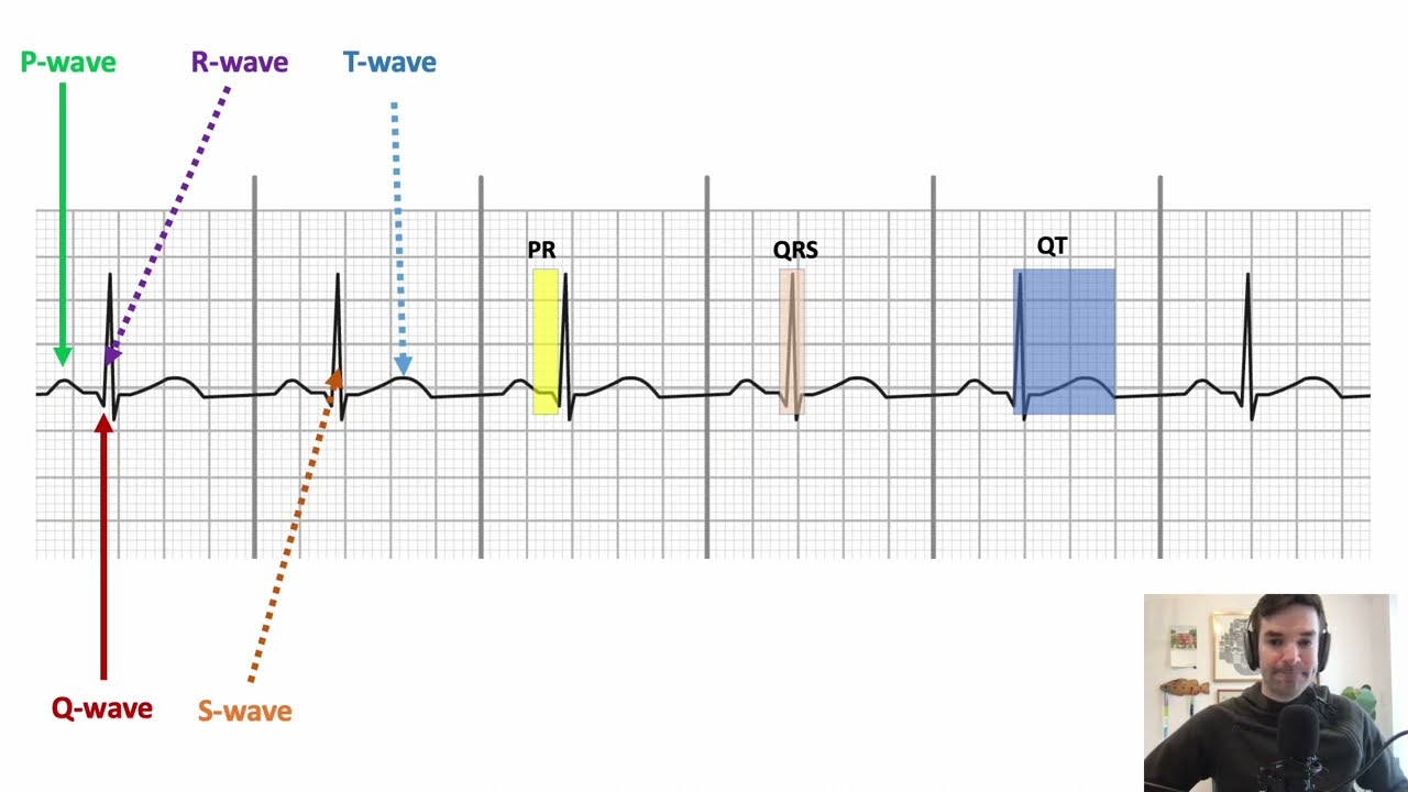 ECG crash course in 7min for nurses and medical students