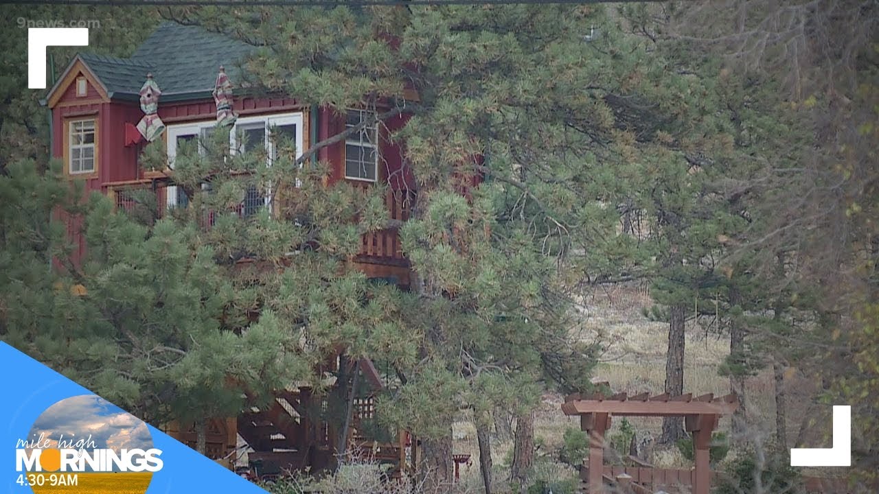 Unique tree house rental available in Lyons