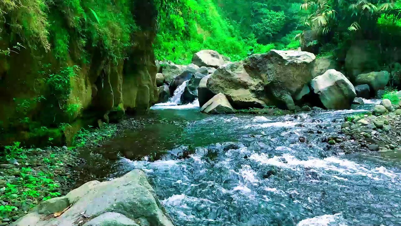 Restore your Soul by the River, Soft Sound and Forest River Sounds | sleep - relax - Stress Relief