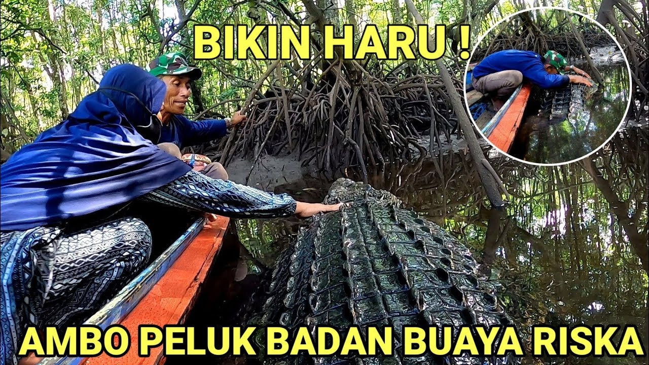 Luar biasa ! Bikin haru,ambo peluk badan buaya riska