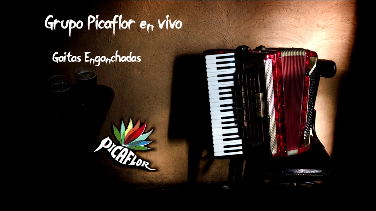Grupo Picaflor Salta - gaitas enganchadas 2021 (EN VIVO)