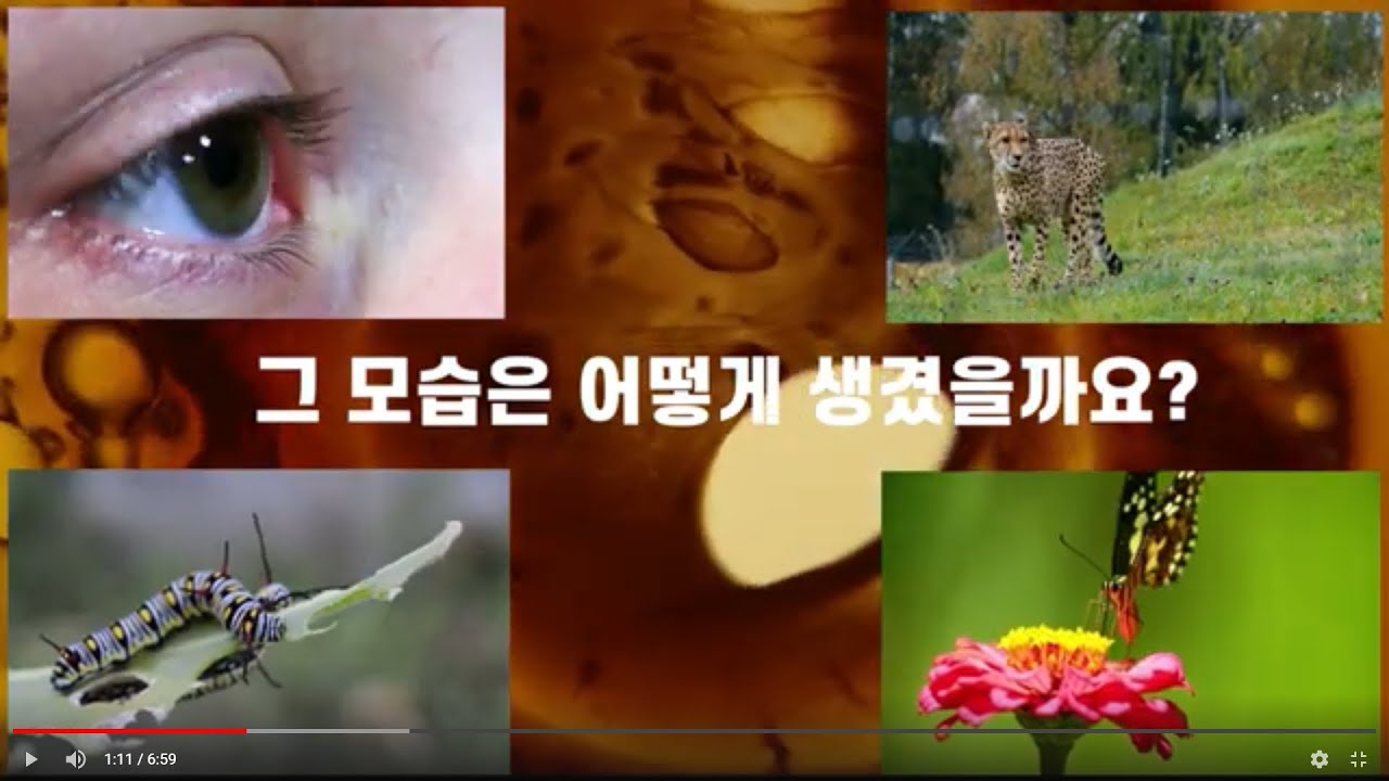 전파(1.전파란 무엇인가?)기초지식/전기