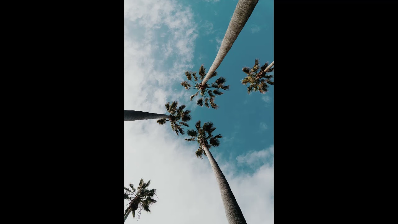 Frenna x Jonna Fraser Type Beat 2021 (prod. LNCE)