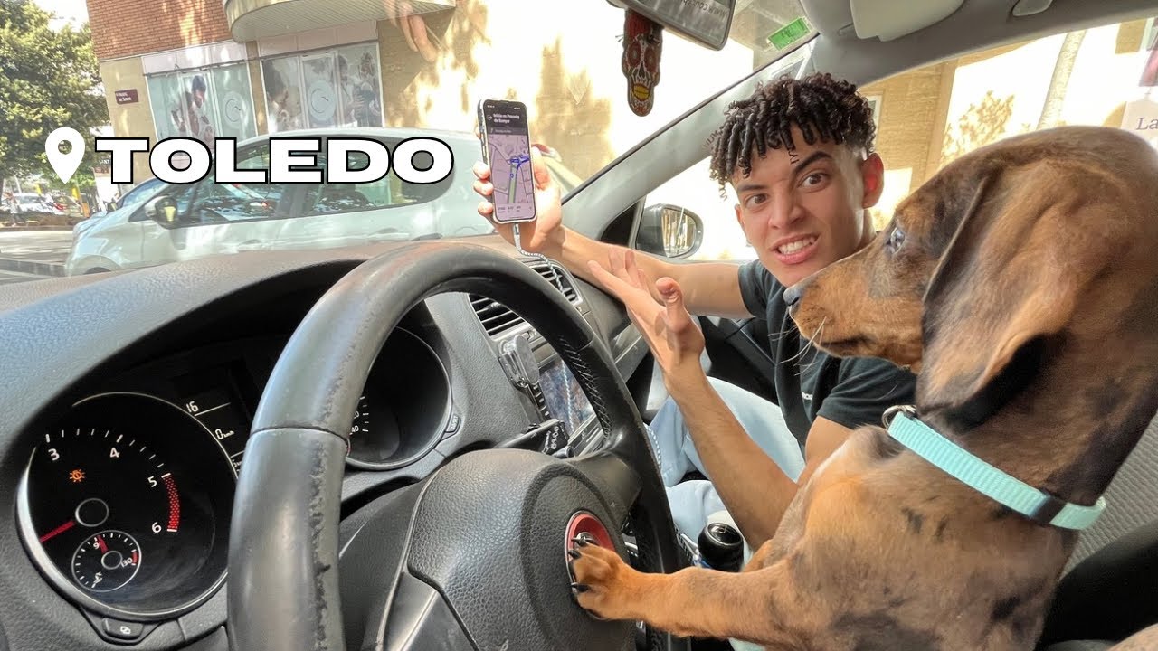 Competición en Toledo | Viaje con BIMBO🐶… (Me timan, piden MATRIMONIO, Jesús en la FINAL, etc).