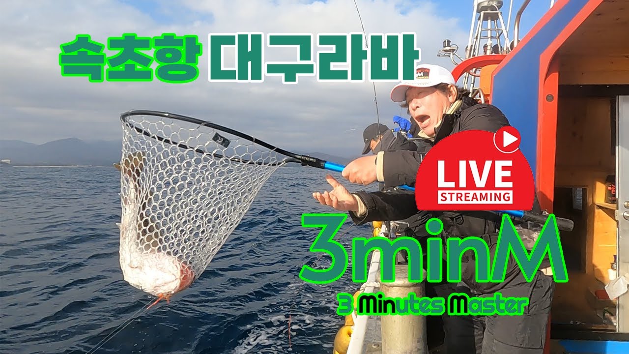 속초 왕대구 라이브. 그때 만큼만 잡자~