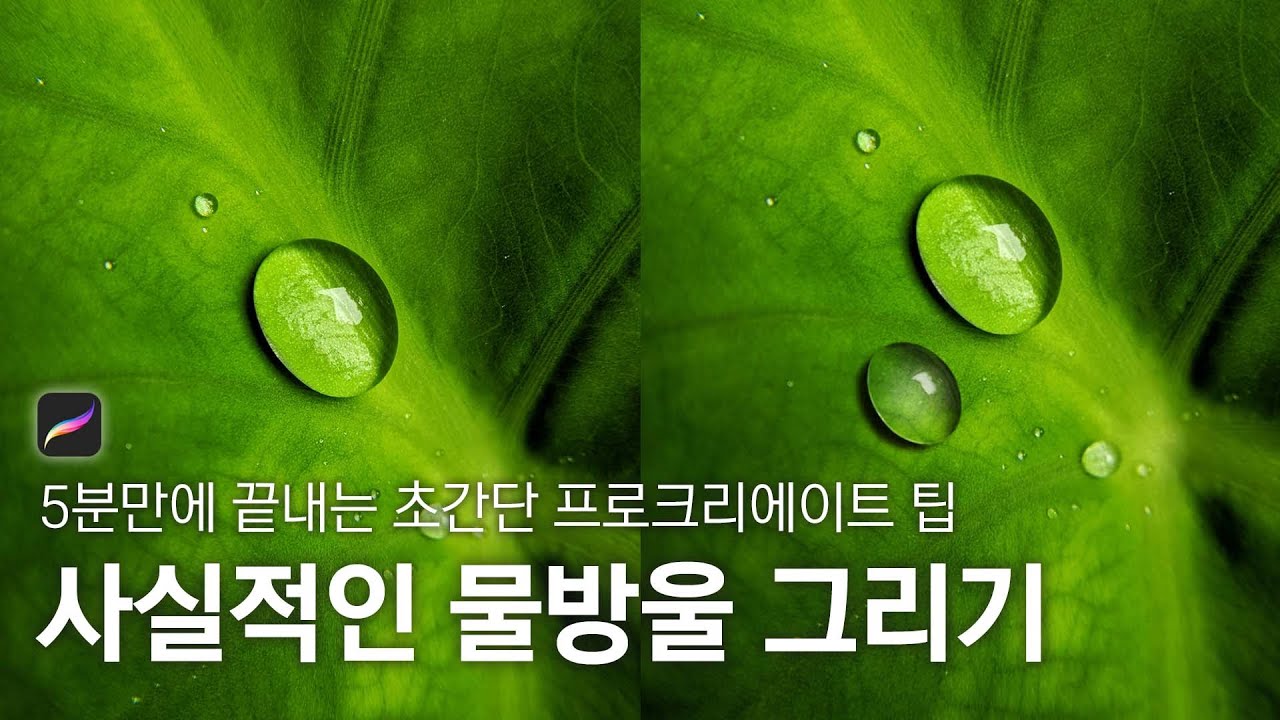 사실적인 물방울그리기 / 5분만에 할 수 있는 초간단 프로크리에이트 팁