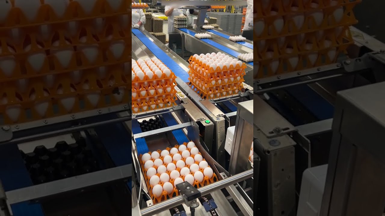 Tray stacker 10x behind an Omnia 500