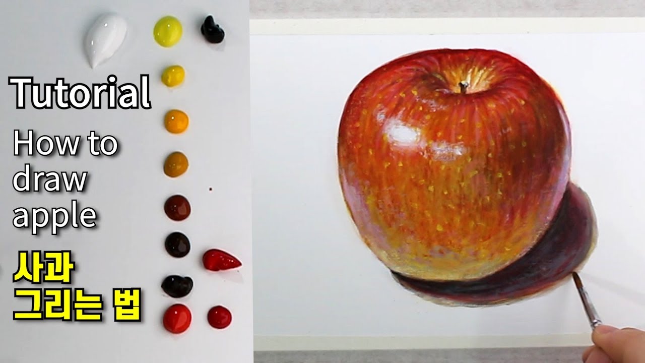 사과 그리는법 / 아크릴화 / 아크릴화 기초 / 유화 기초 / 왕초보 그림독학