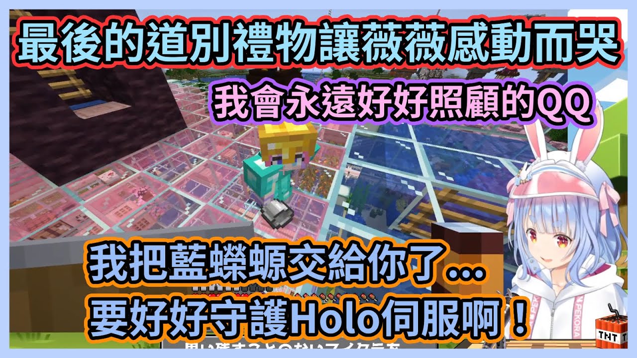 歷經1彼方終於孵出了藍蠑螈！道別之際佩克拉把藍蠑螈託付給了薇薇，讓薇薇感動得哭了【兎田ぺこら】【綺々羅々ヴィヴィ】【兔田佩克拉】【綺綺羅羅薇薇】【Hololive中文】【Vtuber精華】