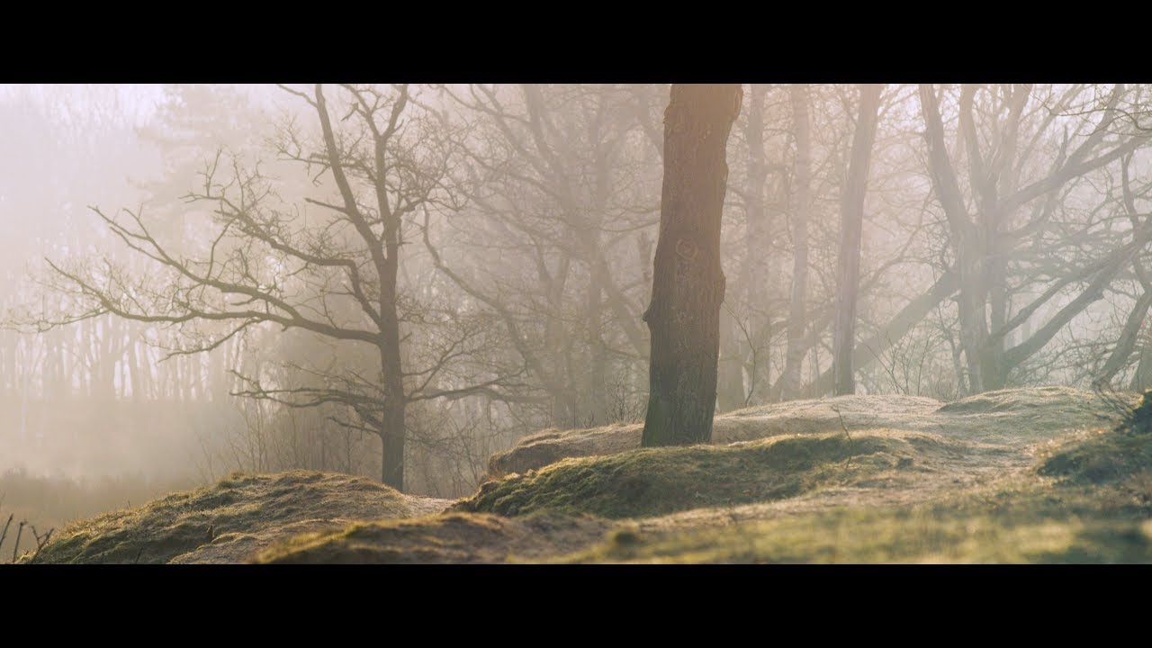 Zeegser Duinen | RED Scarlet MX
