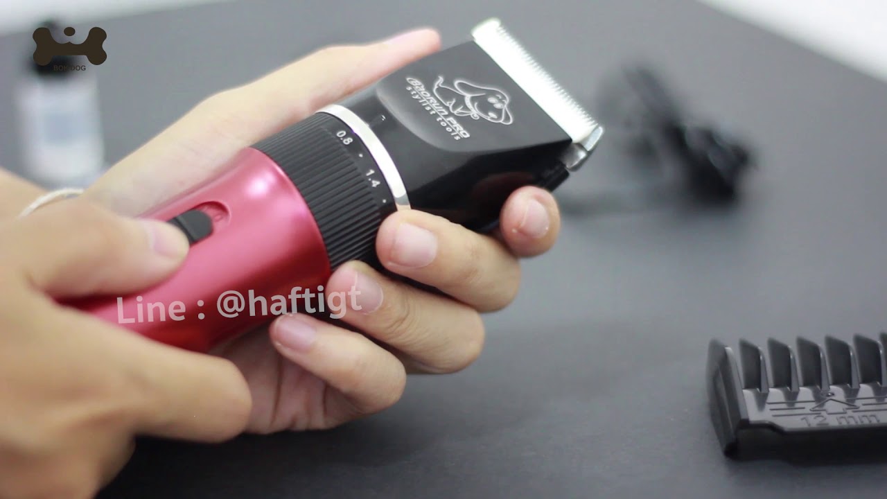 รีวิวการใช้งานปัตตาเลี่ยนสุนัขไร้สาย By Bok Dog