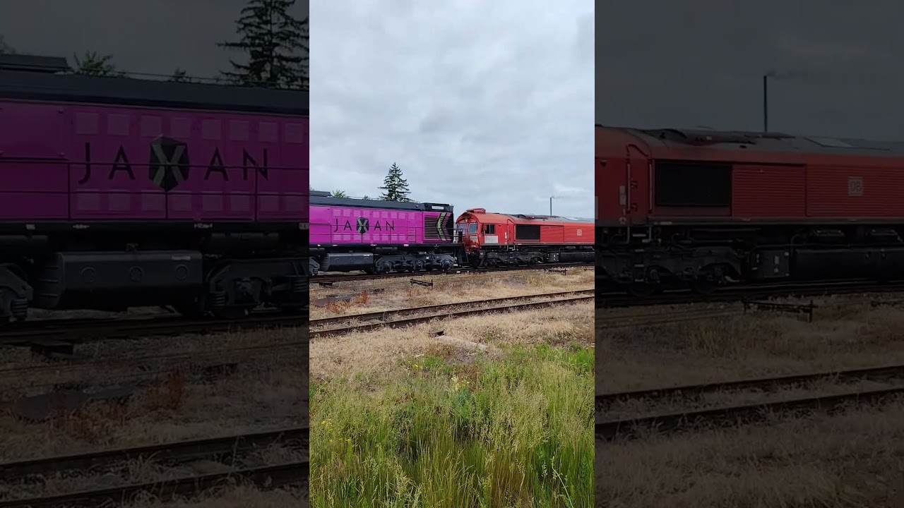 JT42C-66189 + TEM2-262 z pierwszą partią węglarek 06.06.2025
